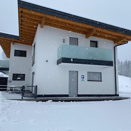 Apartments Mountainview Maishofen Εξωτερικό φωτογραφία
